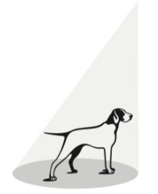 Warrensburg Community Theatre